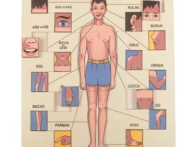 4 Yaş Çocuğa Hangi Eğitici Oyuncak Alınır?