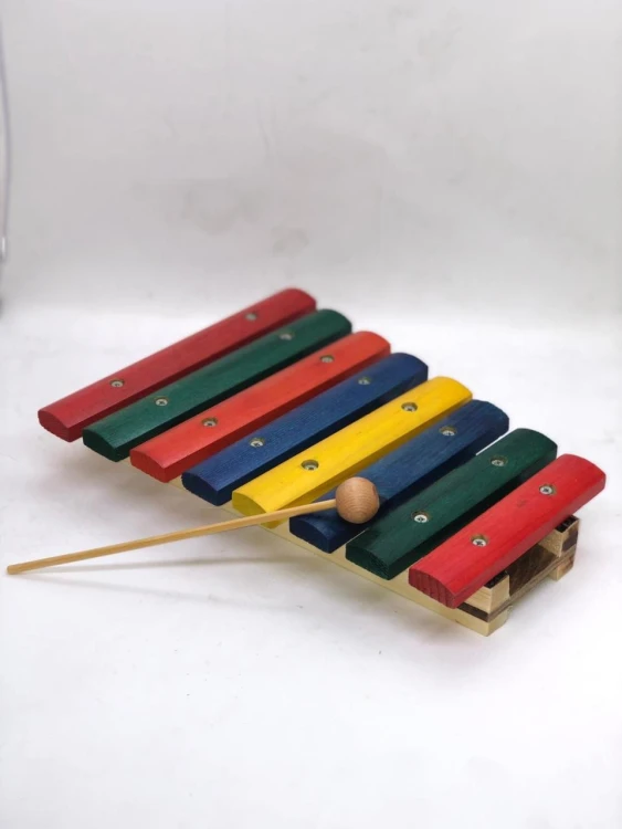 Çocuğa İlk Müzik Aleti Ne Alınmalı?