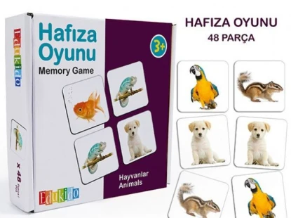 Hafıza Kartı Oyunu Kaç Yaşında Oynanır?