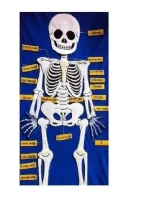 Anaokulu Cırtlı Kumaş İskelet Pano