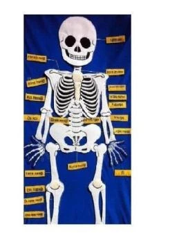 Anaokulu Cırtlı Kumaş İskelet Pano