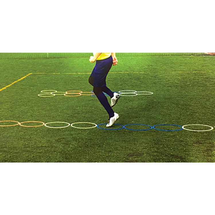 12 Li Koordinasyon Çemberi