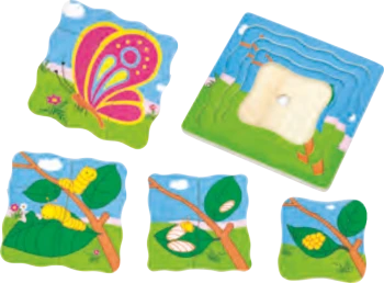 Katlı Ahşap Kelebek Gelişim Evreleri Puzzle