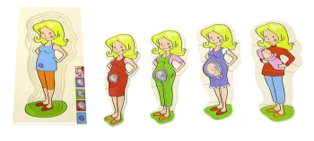 Hamile Gelişim Evreleri Katmanlı Ahşap Puzzle