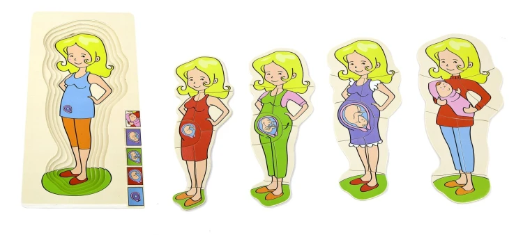 Hamile Gelişim Evreleri Katmanlı Ahşap Puzzle