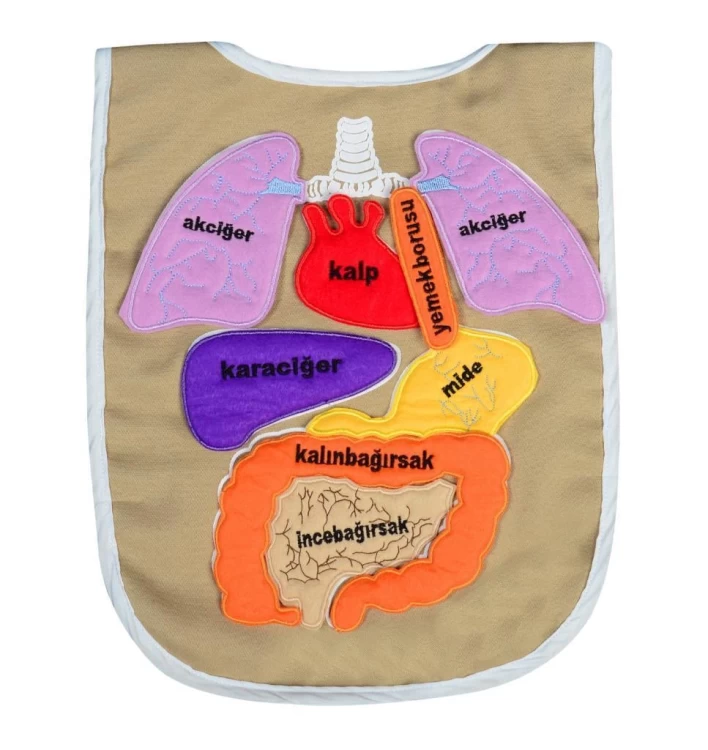 Kumaş Organ Önlüğü