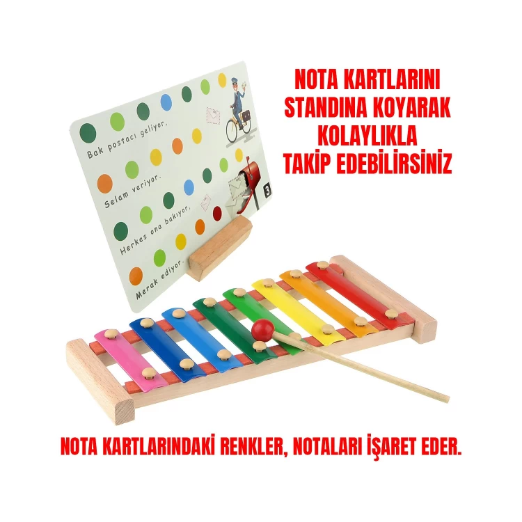 Ahşap 8'li Ksilofon Renkli Nota Kartlı