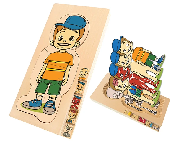 Vücudumuz Katmanlı Ahşap Puzzle Erkek