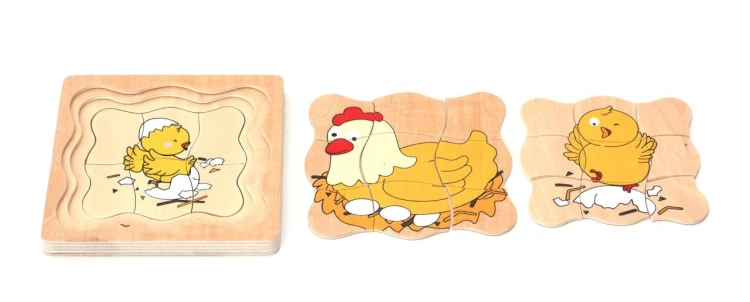 Tavuk Gelişim Evreleri Katmanlı Ahşap Puzzle - görsel 2
