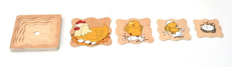 Tavuk Gelişim Evreleri Katmanlı Ahşap Puzzle - görsel 4