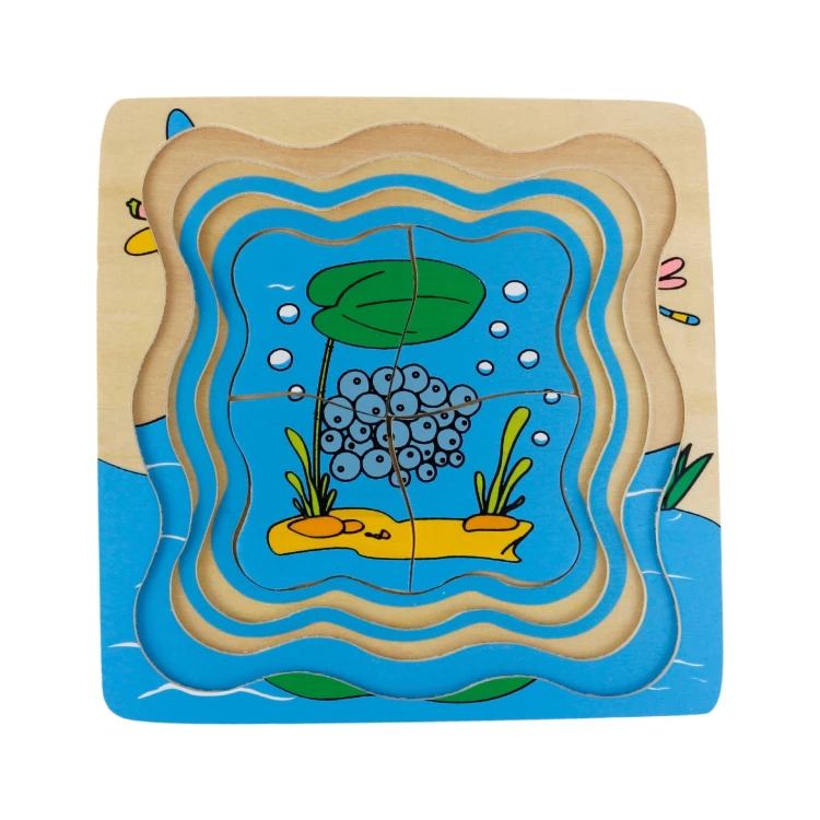 Kat Kat Kurbağa Yaşam Döngüsü Puzzle - görsel 4