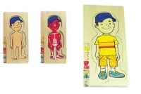 Katmanlı Vücut Puzzle Erkek 4 Katlı - görsel 2