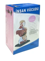 İnsan Vücudu 27 cm - görsel 5